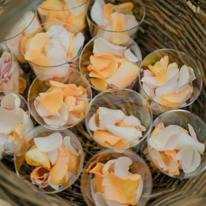 ウェディングレポート画像