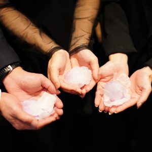 ウェディングレポート画像