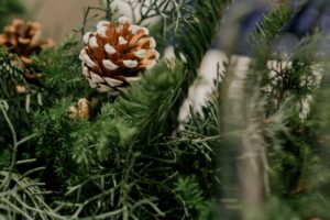 ウェディングレポート画像